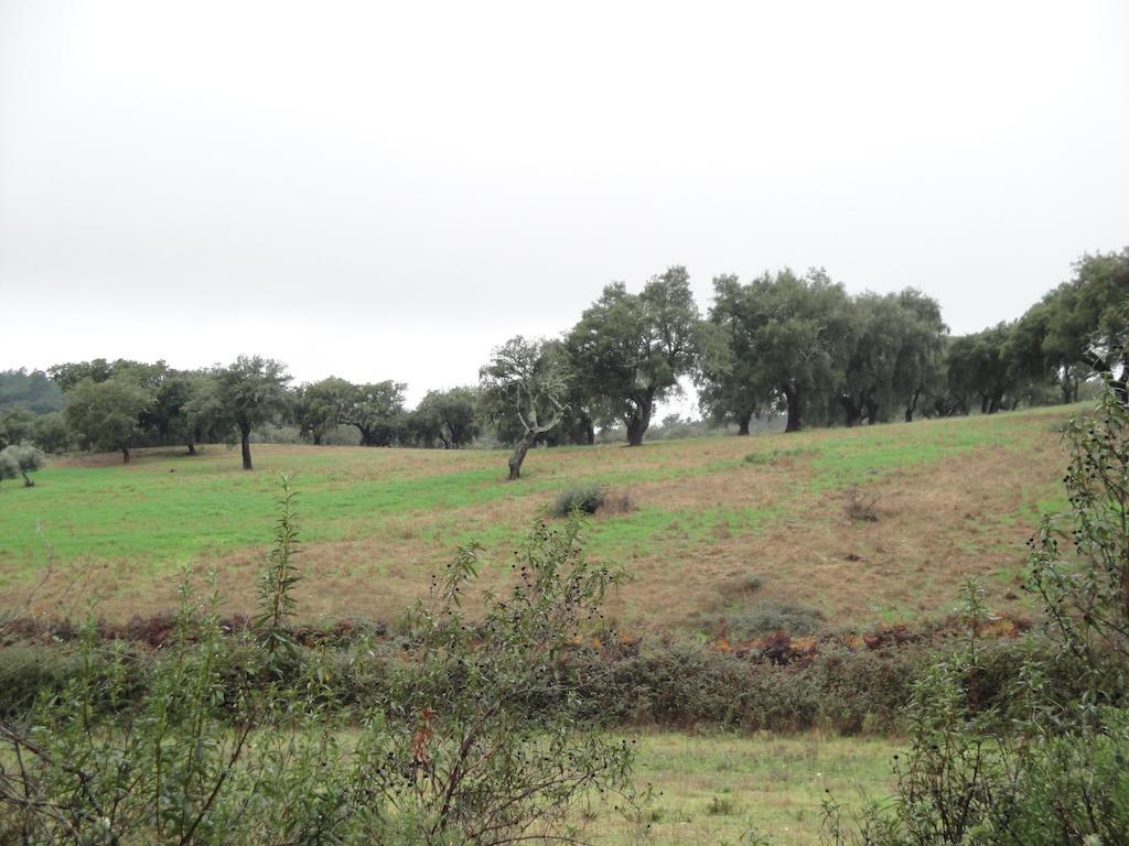Casa Rural Sierra San Mamede La Codosera Exteriér fotografie